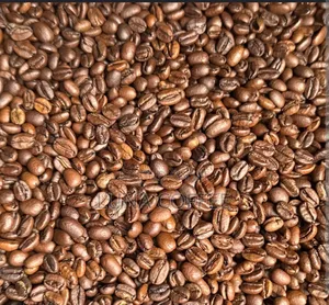Sidamo Coffee (Export Standard)
