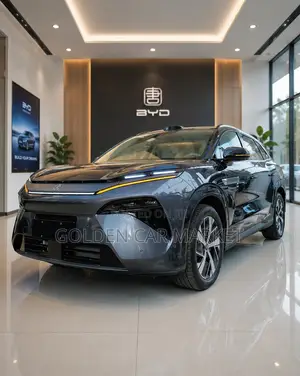 New BYD Tang DM-i 2025 Silver