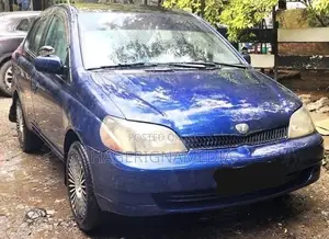 Toyota Platz 2001 Purple