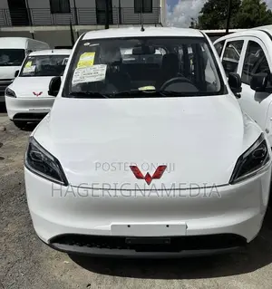 Wuling Air EV 2025 White