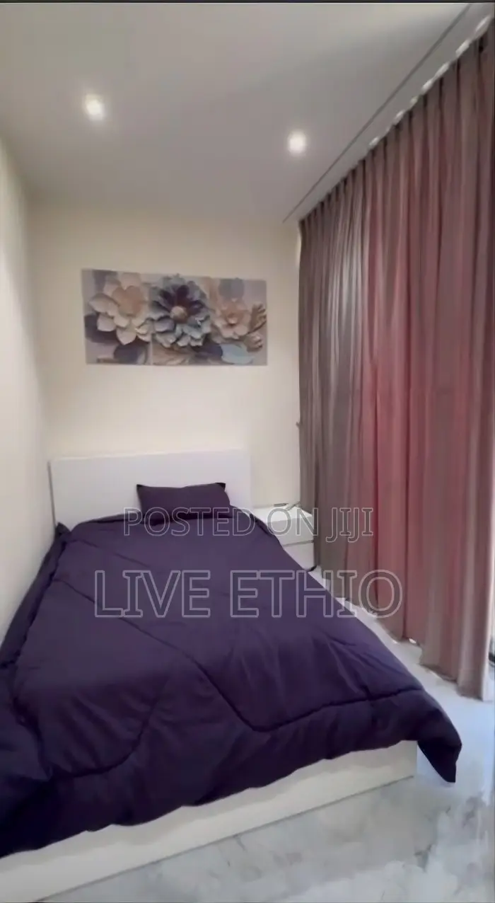 Furnished 3bdrm Apartment in Kirkos for rent