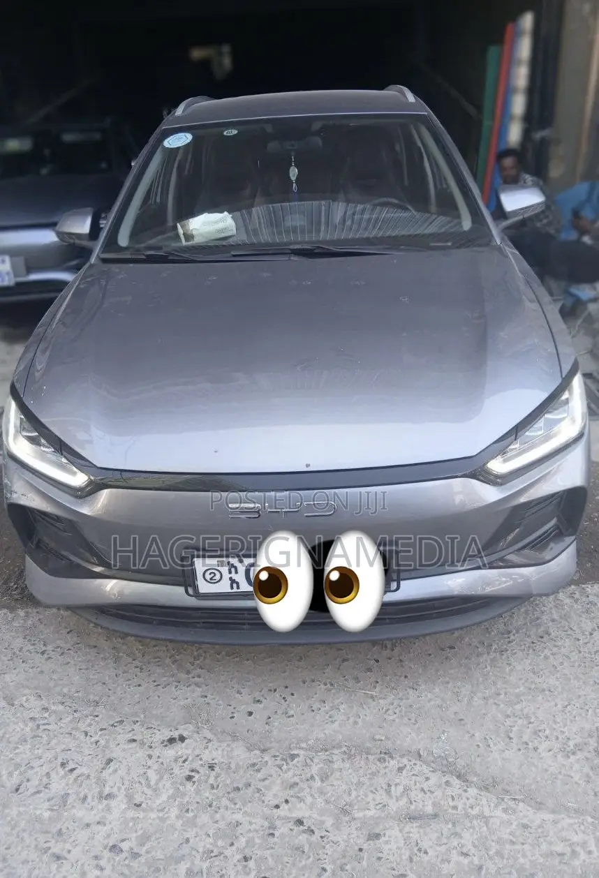 BYD E2 43 kWh 94 hp FWD 2024 Silver