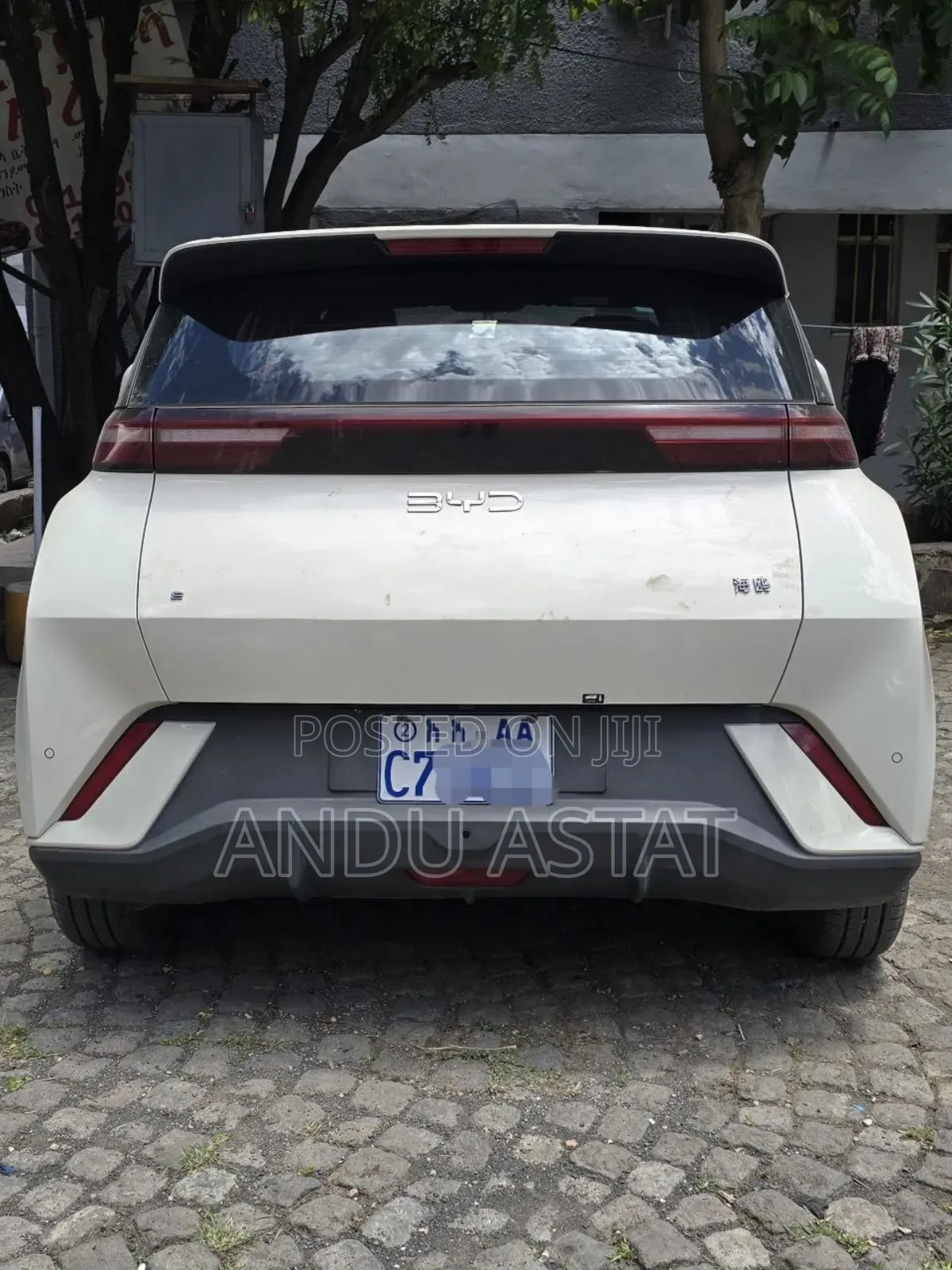 BYD Seagull 2025 Teal