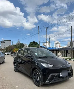 New BYD Seagull 2024 Black
