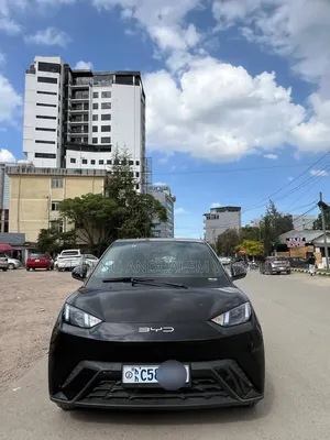 New BYD Seagull 2024 Black