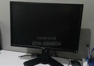 Dell Monitor