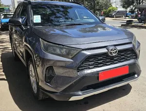 Toyota RAV4 2019 Gray