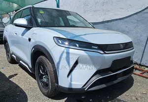 BYD Yuan Up 2024