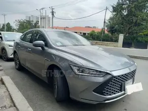 BYD Qin Plus DM-i 2025 Gray