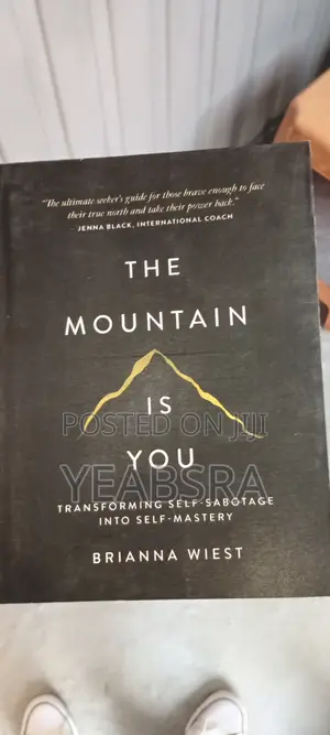 The Mountain Is You By Brianna Wiest