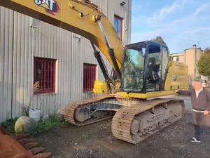 Caterpillar