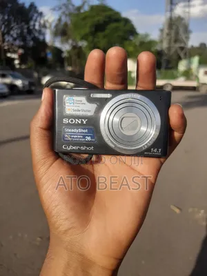 Sony Cyber-Shot DSC-W610 Digital Camera, a Black Compact Model 14.1-Mp