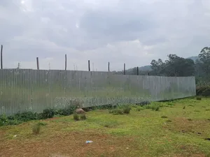 Teru Lenuro Tesemami