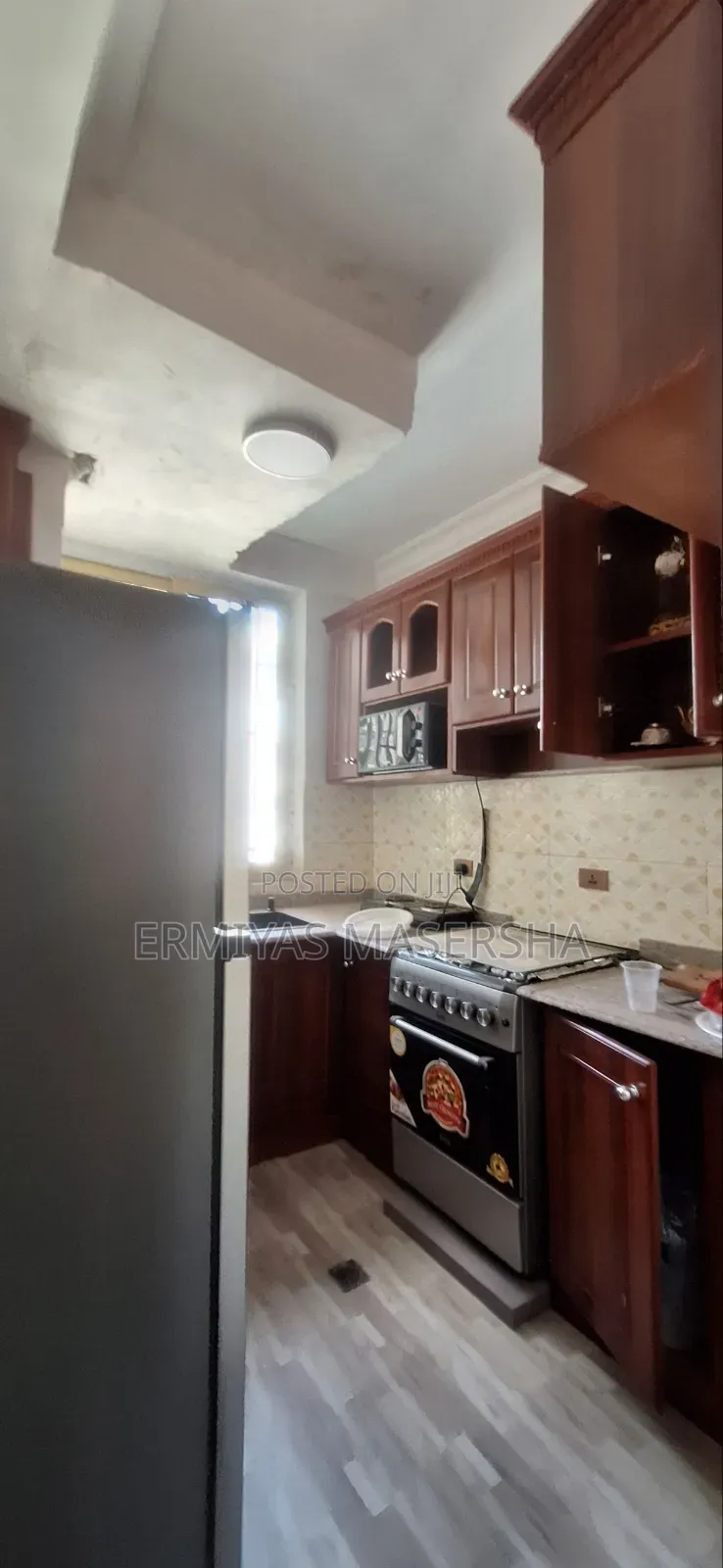 Furnished 2bdrm Condo in Yeka for sale