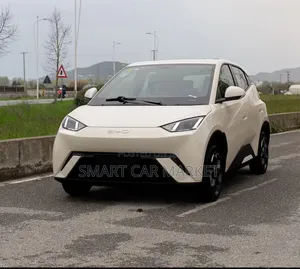 New BYD Seagull 2025 White