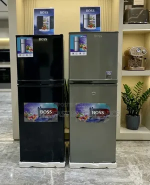 Boss Refrigerator 270 Double Door Stylish, Spacious Energy Efficient