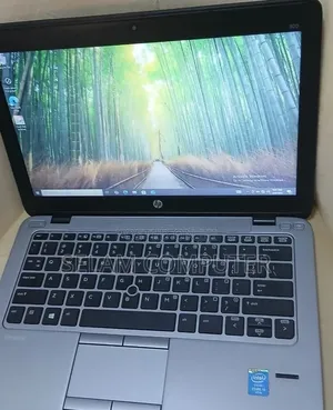 New Laptop HP EliteBook 820 G2 8GB Intel Core i5 HDD 500GB