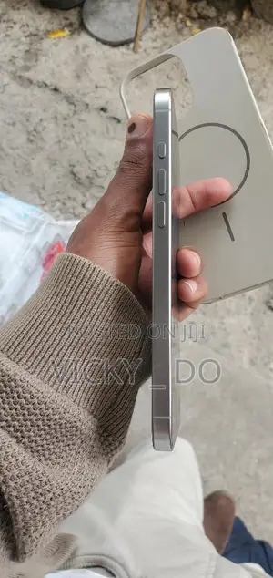 Apple iPhone 16 Pro Max 256 GB Gray