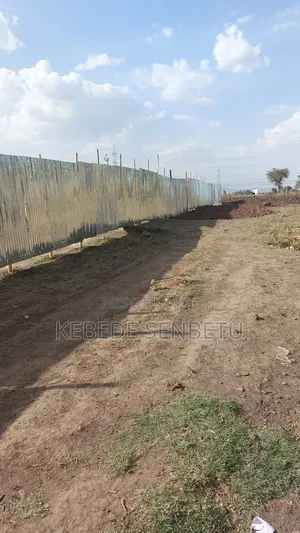 Land Plot for Sale