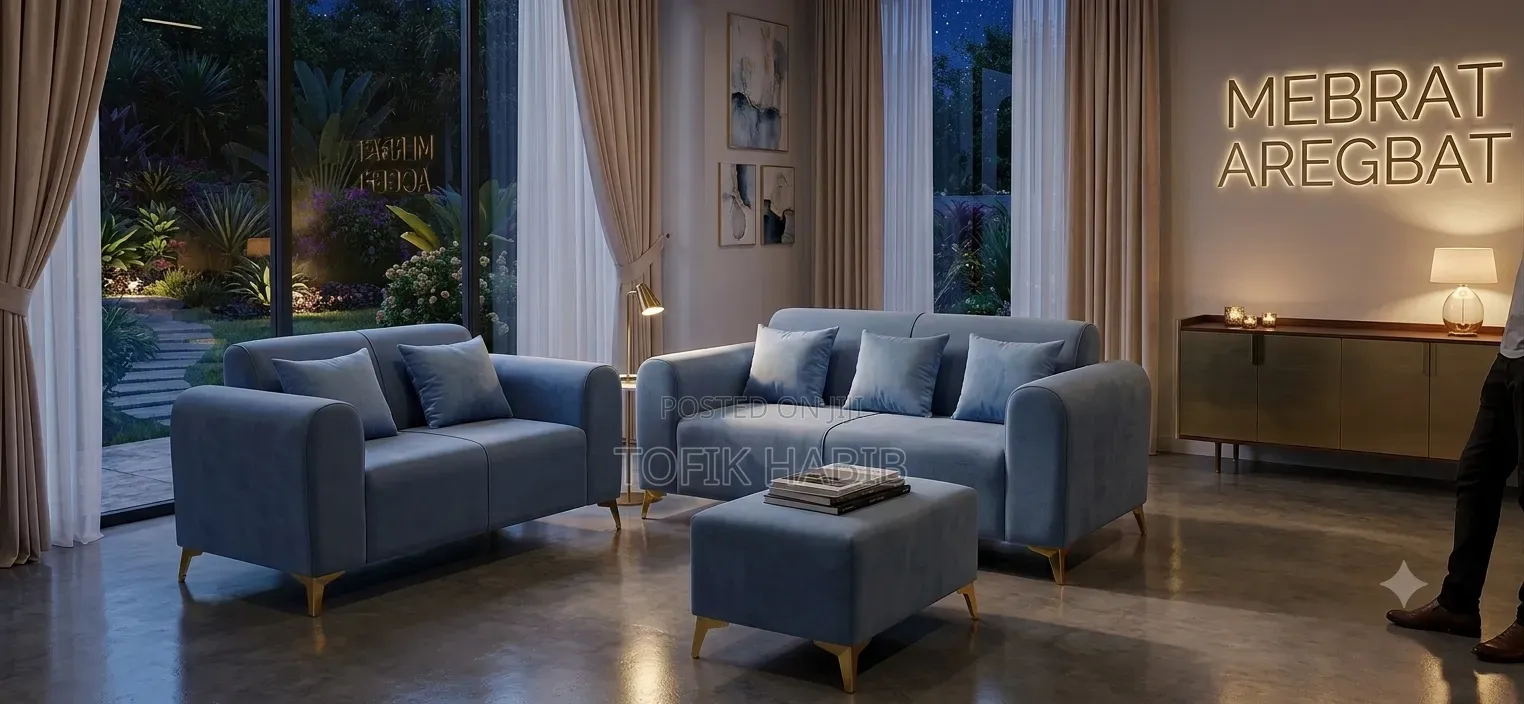 Furniture Sofa