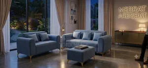 Furniture Sofa
