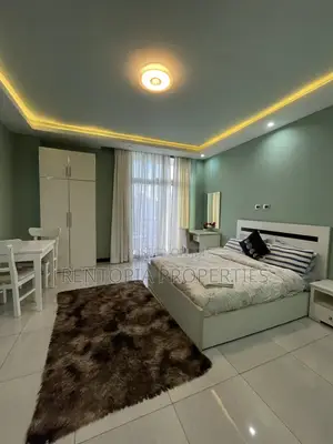 Furnished 1bdrm Apartment in Bole for rent