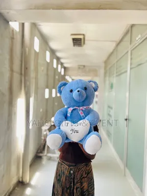 Blue Teddy Love Toy