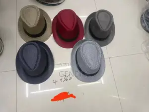Wide-Brim Fedora Hat
