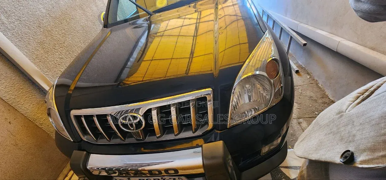Toyota Land Cruiser 2007 Blue