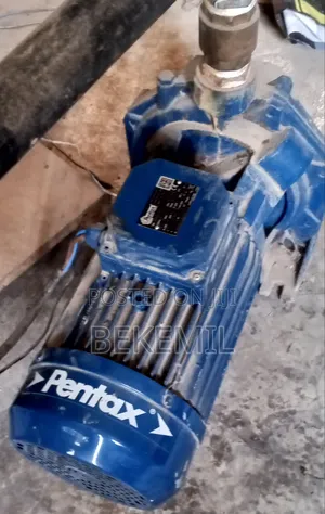 Pentax Water Pump