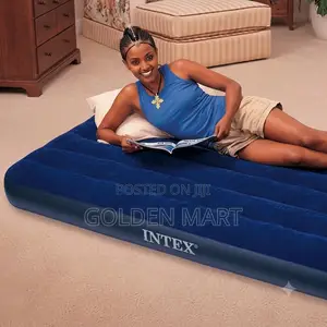 Quality Intex Airbed Sofa: For Comfort Versatility |