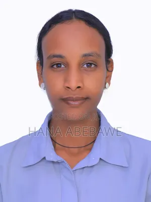 Website Developer