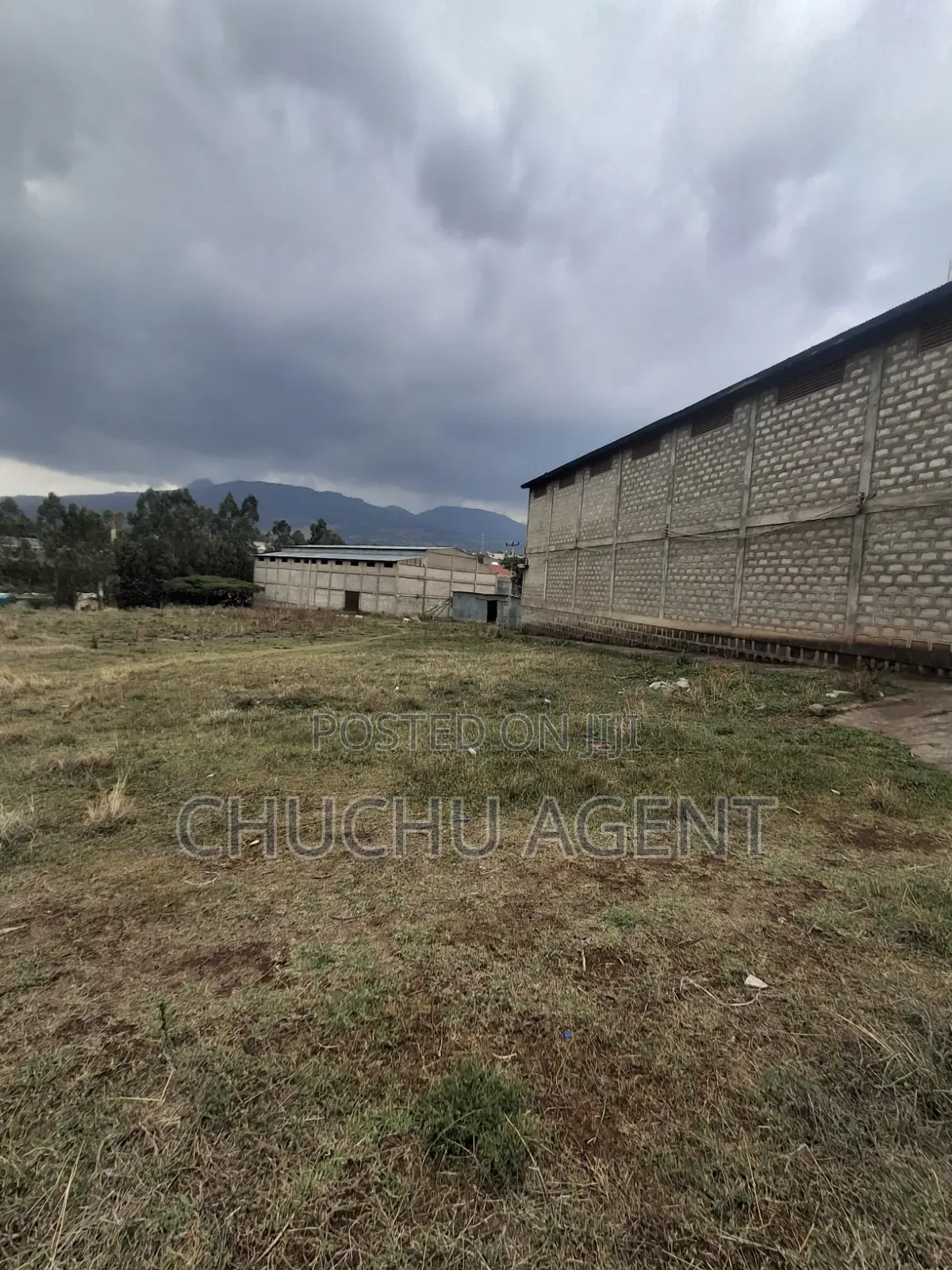Warehouse Sale at Alemgena Furi, አለምገና Meter Square