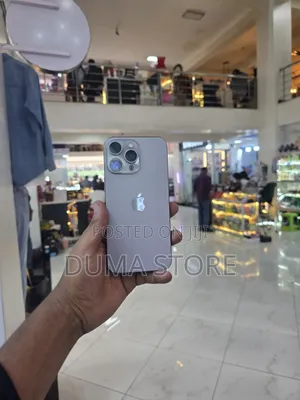 Apple iPhone 15 Pro Max 256 GB Silver