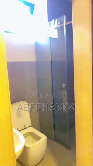 Furnished 2bdrm Apartment in Alsam Apartment, Lideta for rent