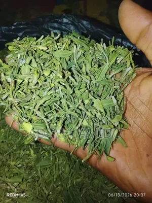 Jimaa Gogogaa