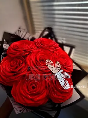 Revan Flower Contact