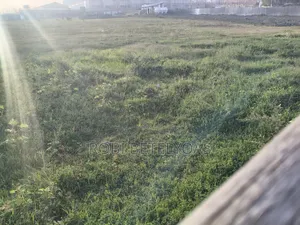 Warehouse Land