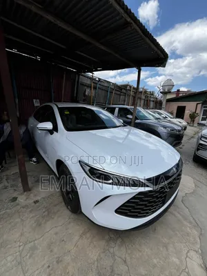 New BYD Qin Plus DM-i 2025 White