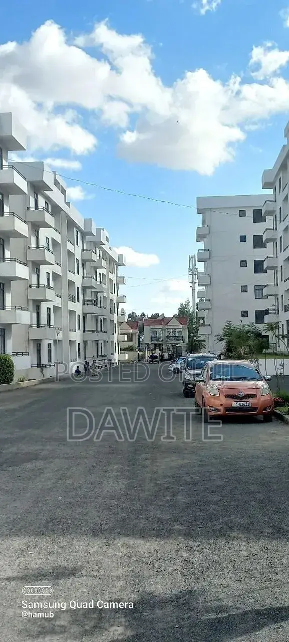 Furnished 3bdrm Apartment in የግል Real  Estate, Bole for sale