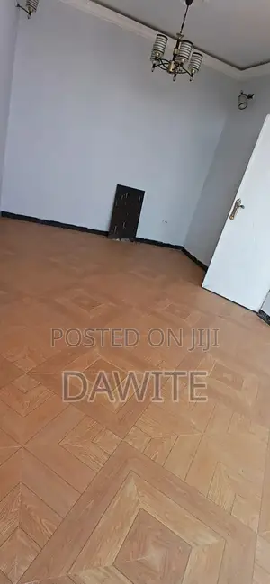 Furnished 3bdrm Apartment in የግል Real  Estate, Bole for sale