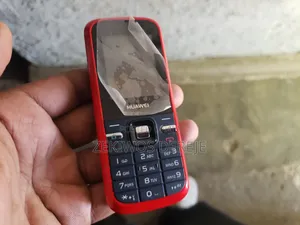 New Huawei G5520