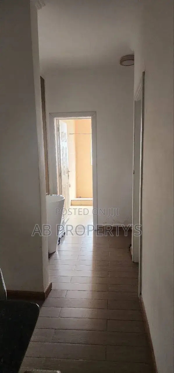 Furnished 3bdrm Apartment in Bole Danbel for sale