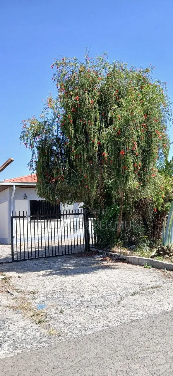 Furnished 4bdrm Villa in Akaky Kaliti for sale