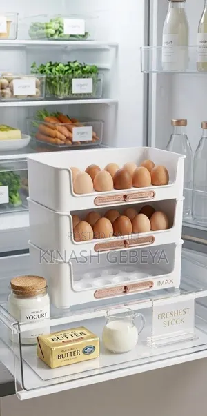 Modern Egg Storage Box