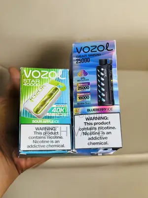Vozol Vape and Vozol Vape