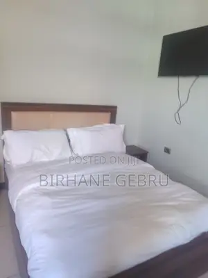 Furnished 1bdrm Apartment in Luxury Studio, Bole for rent