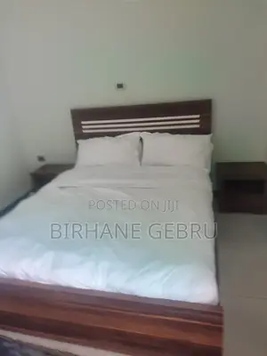 Furnished 1bdrm Apartment in Luxury Studio, Bole for rent