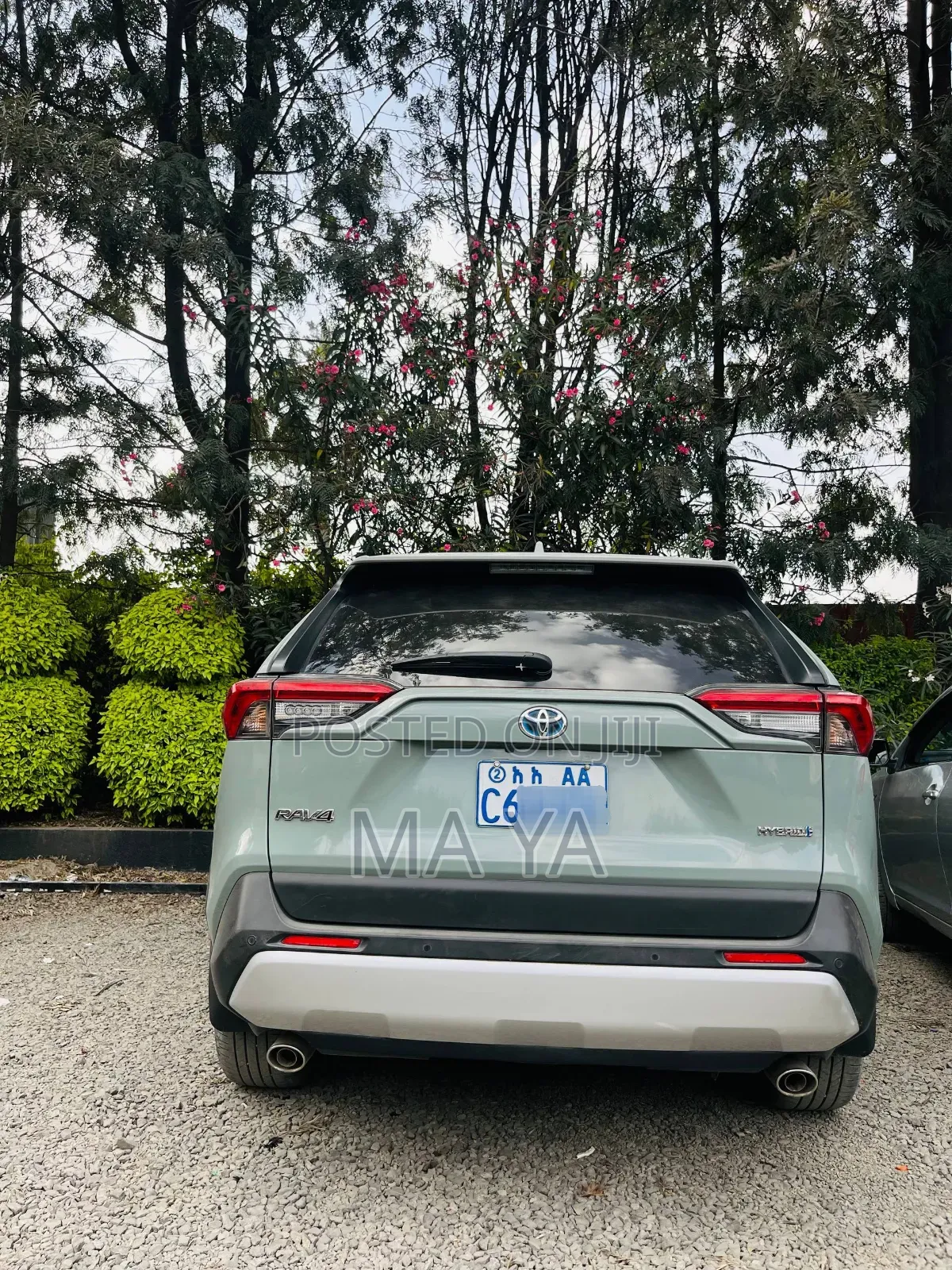 Toyota RAV4 Adventure AWD 2023 Green