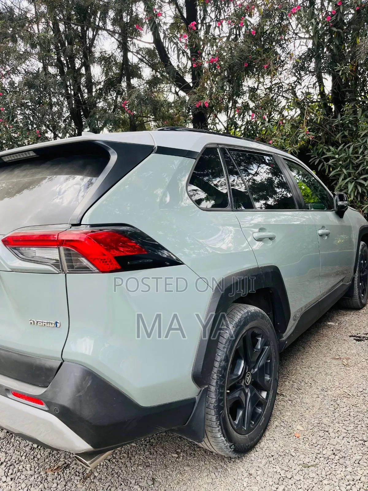 Toyota RAV4 Adventure AWD 2023 Green